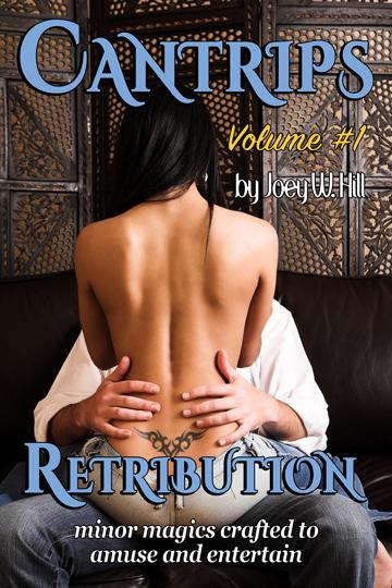 Retribution book cover