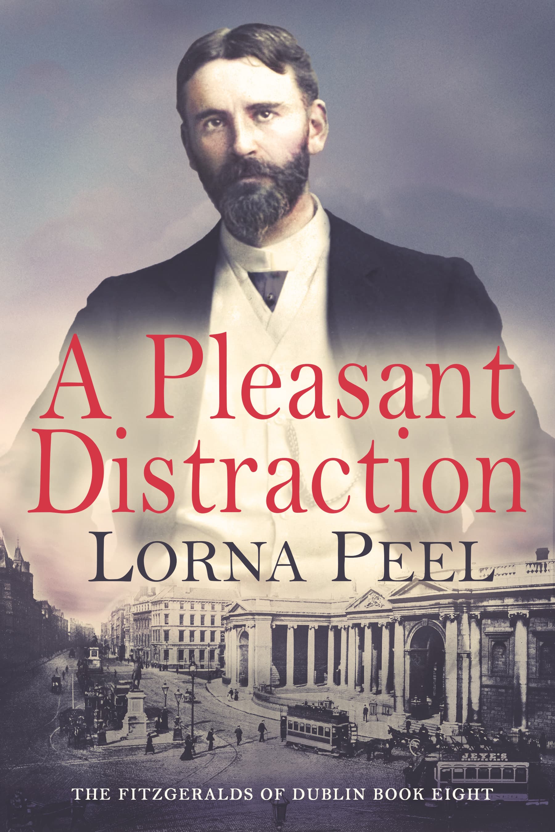 A Pleasant Distraction book cover