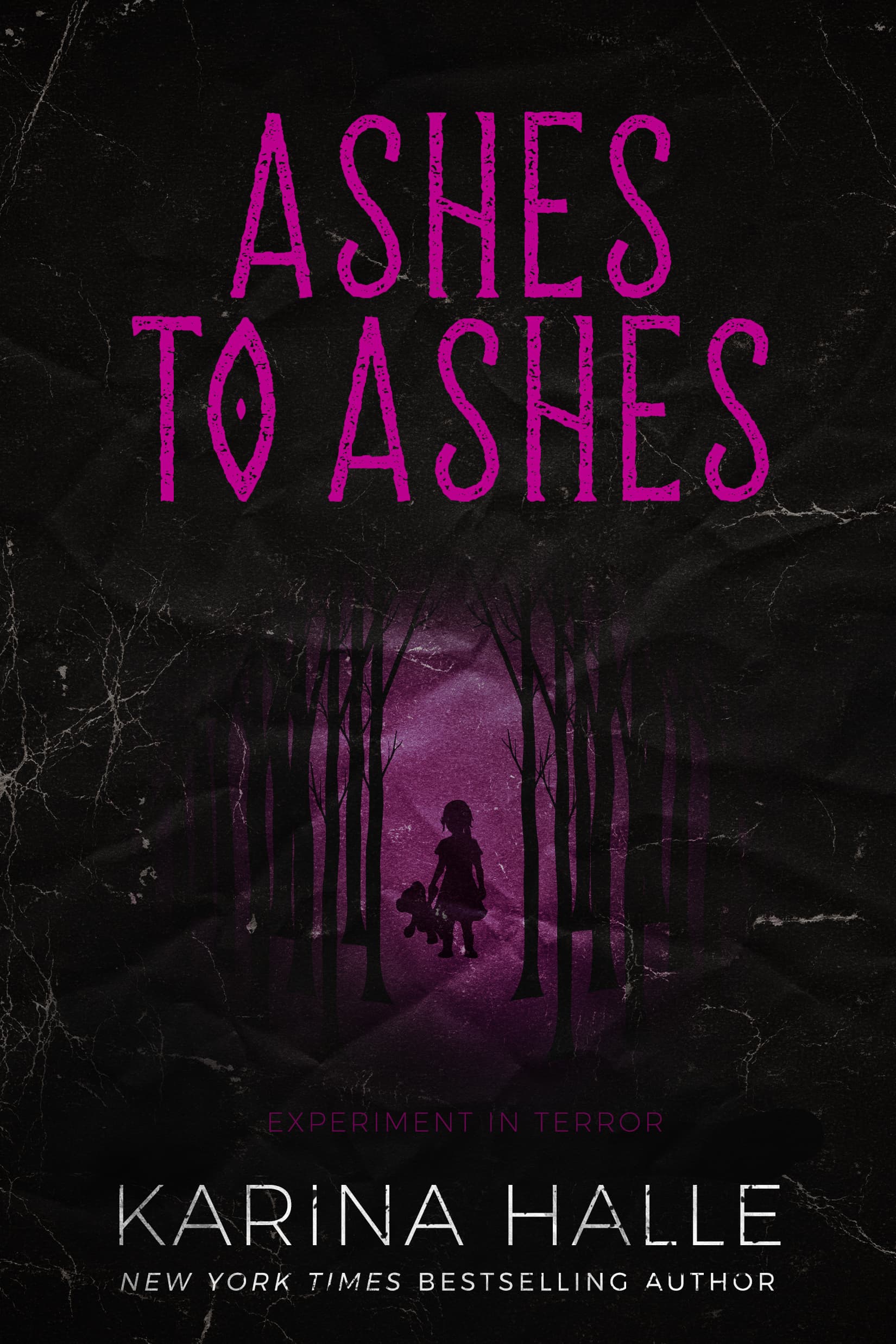 Ashes to Ashes book cover