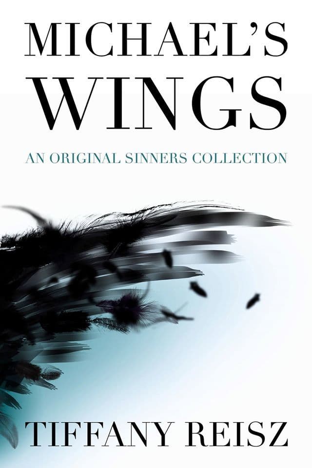 Michael's Wings book cover