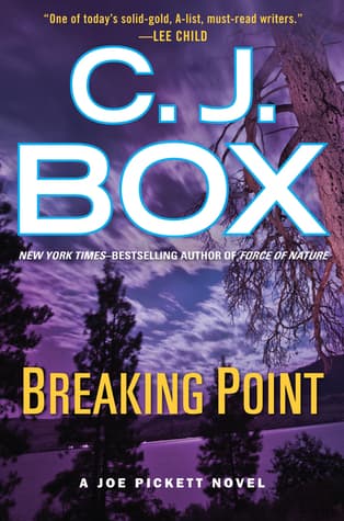 Breaking Point book cover