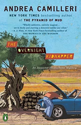 The Overnight Kidnapper book cover