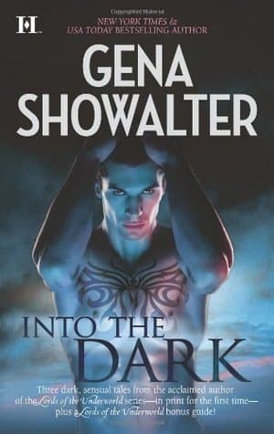 Into the Dark book cover