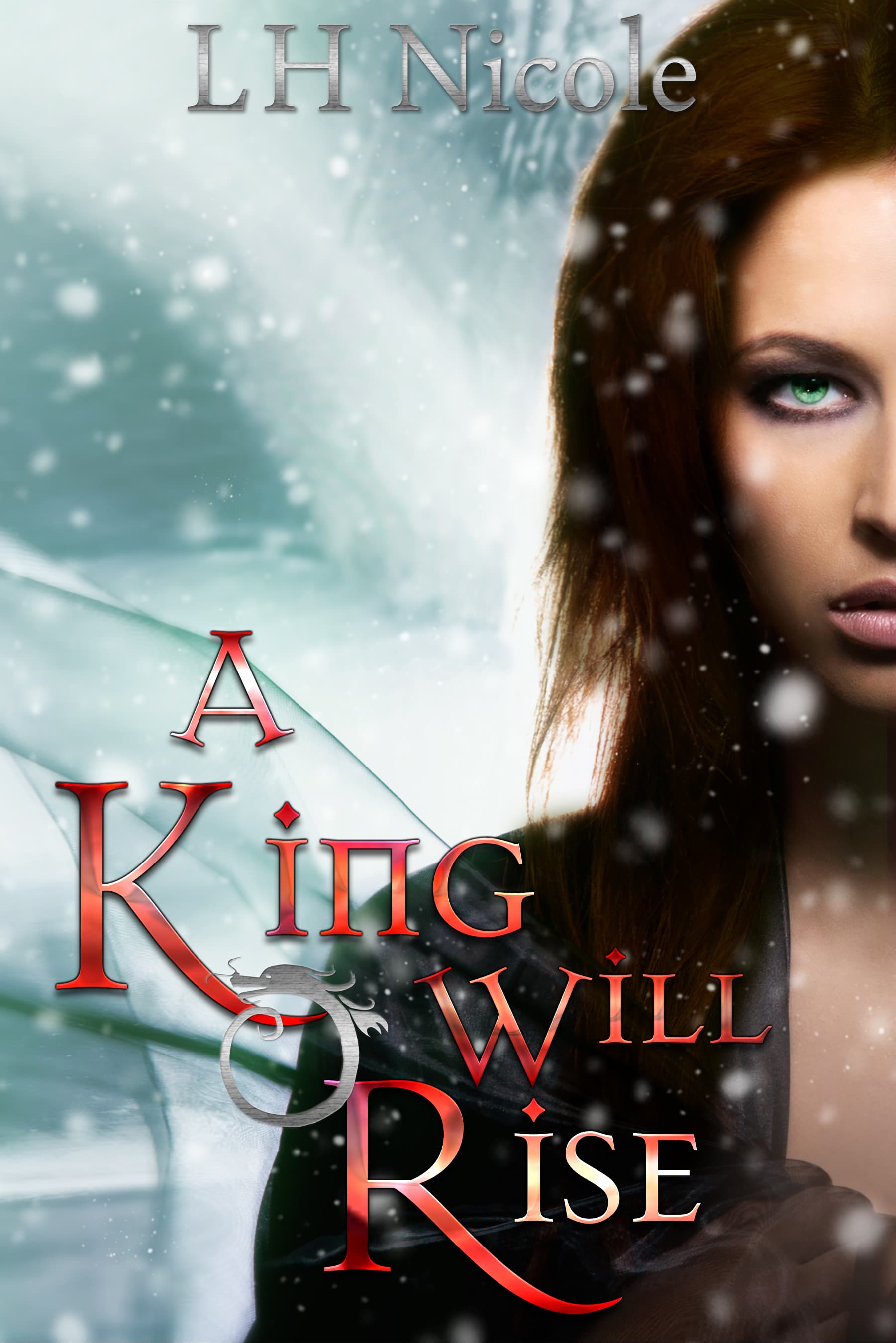 A King Will Rise book cover