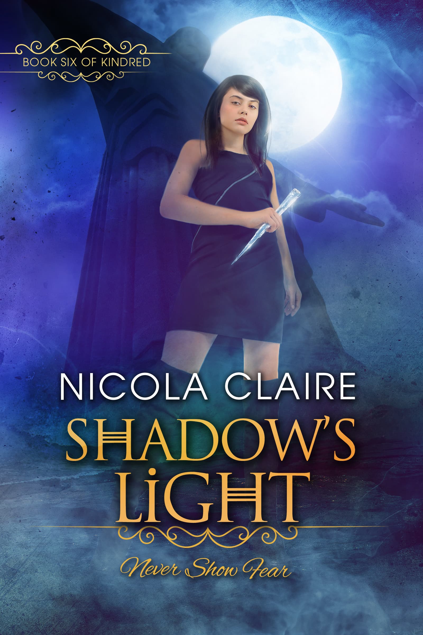 Shadow's Light book cover