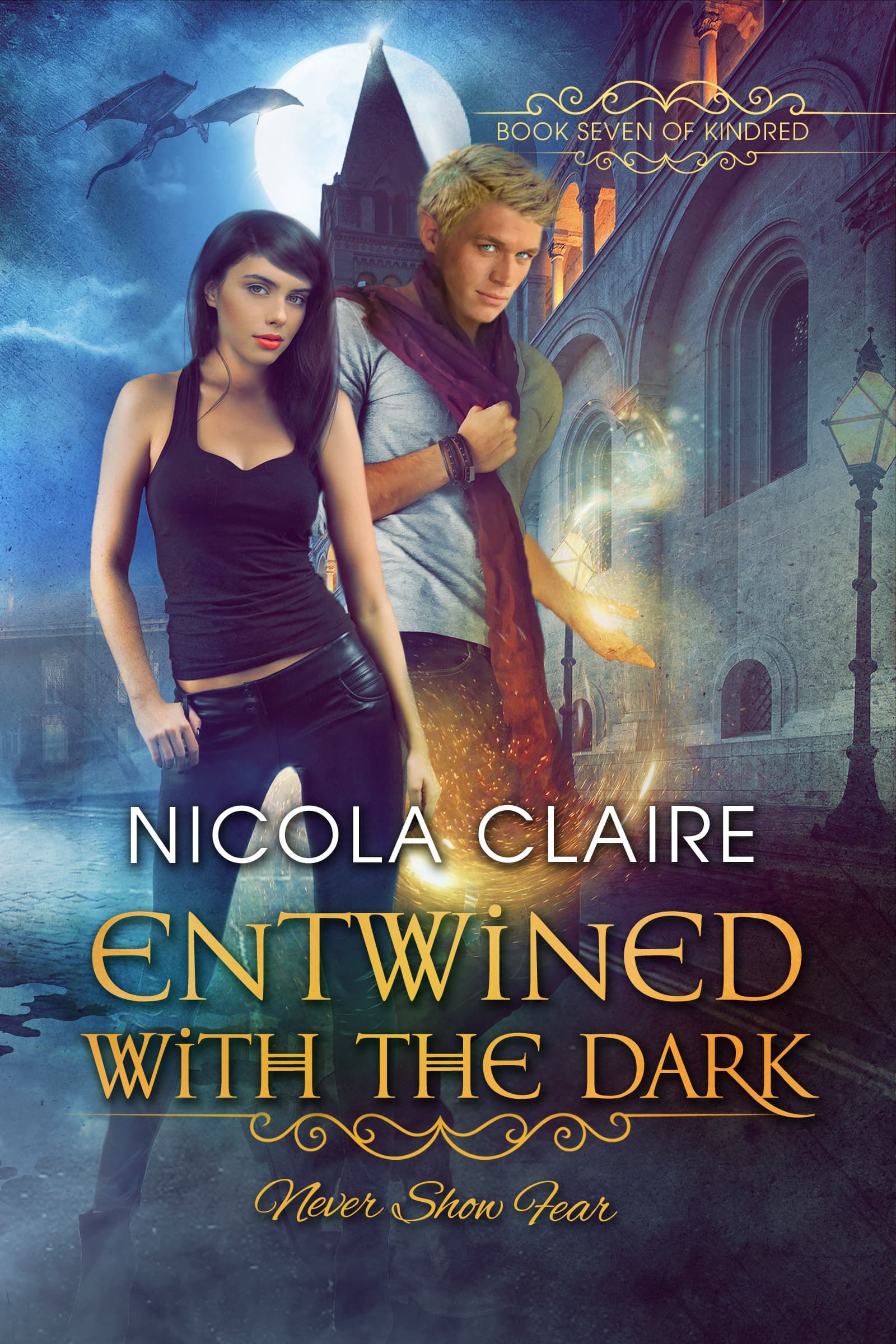 Entwined with the Dark book cover