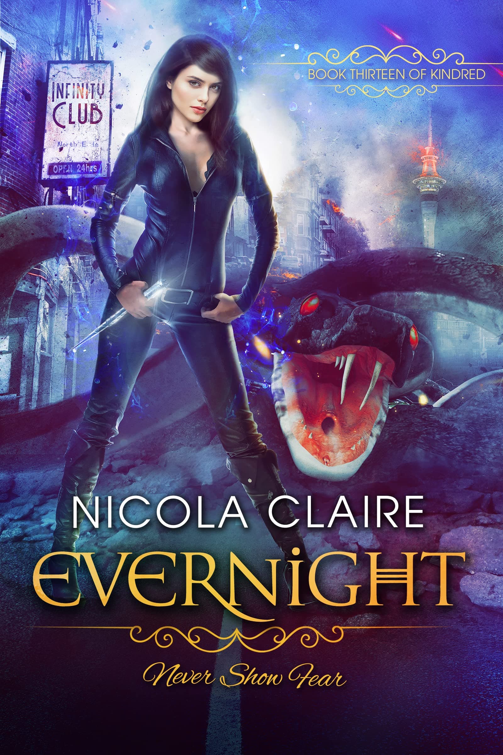 Evernight book cover