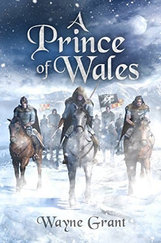 A Prince of Wales book cover