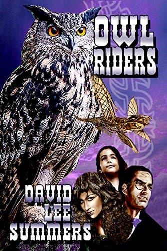 Owl Riders book cover