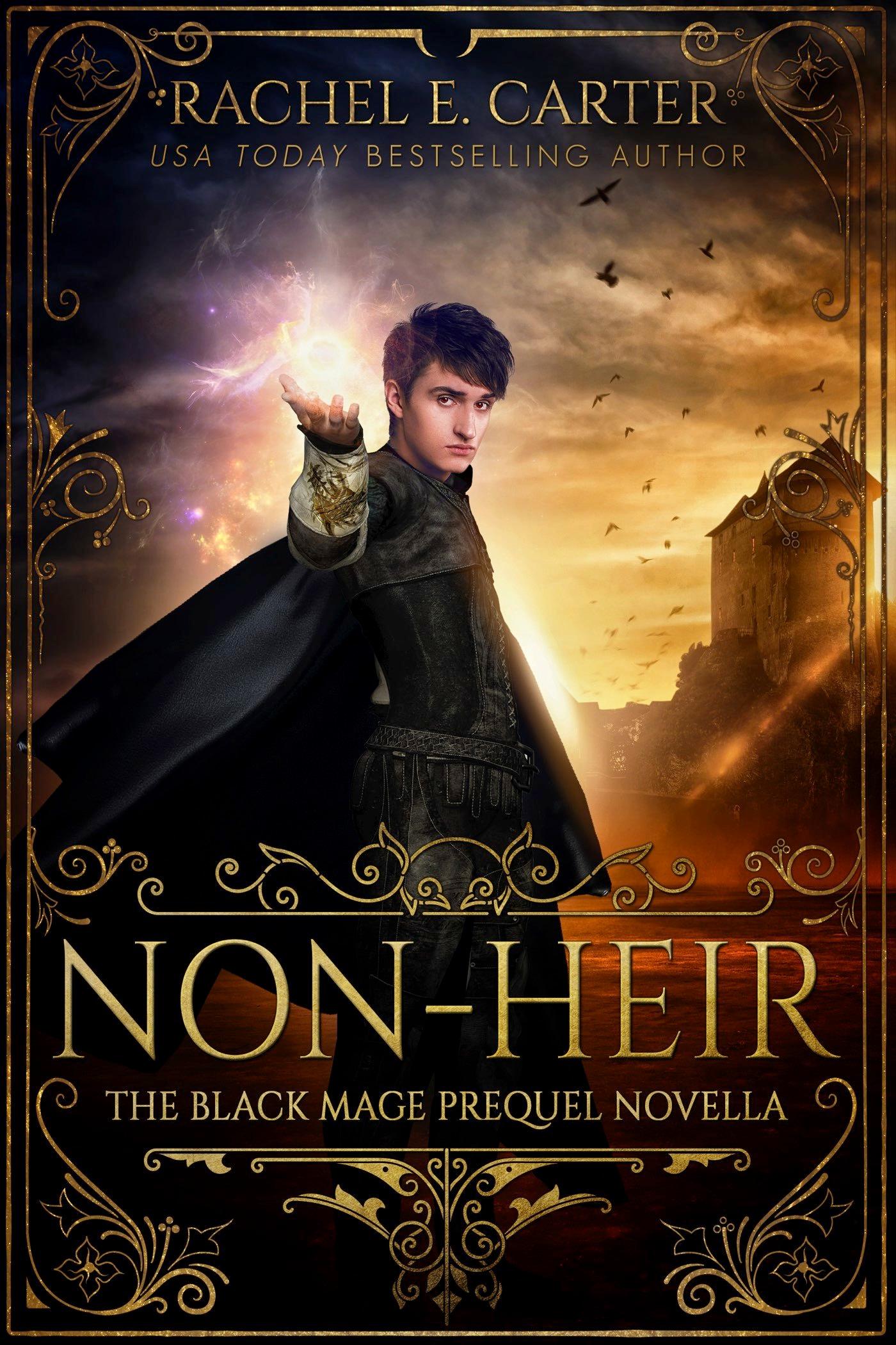 Non-Heir book cover