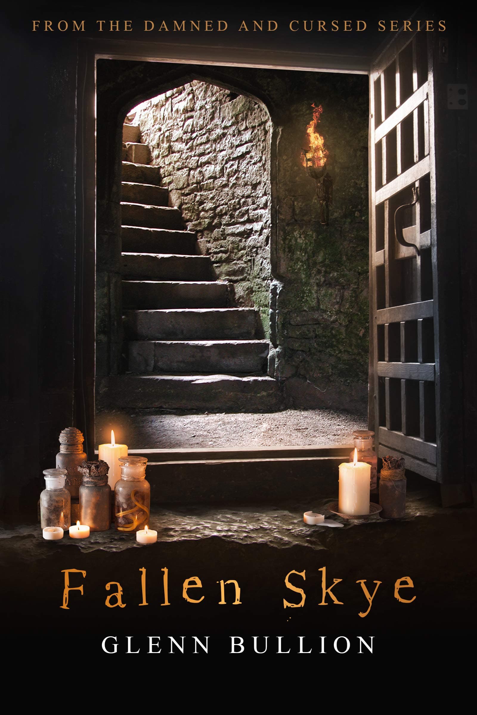 Fallen Skye book cover