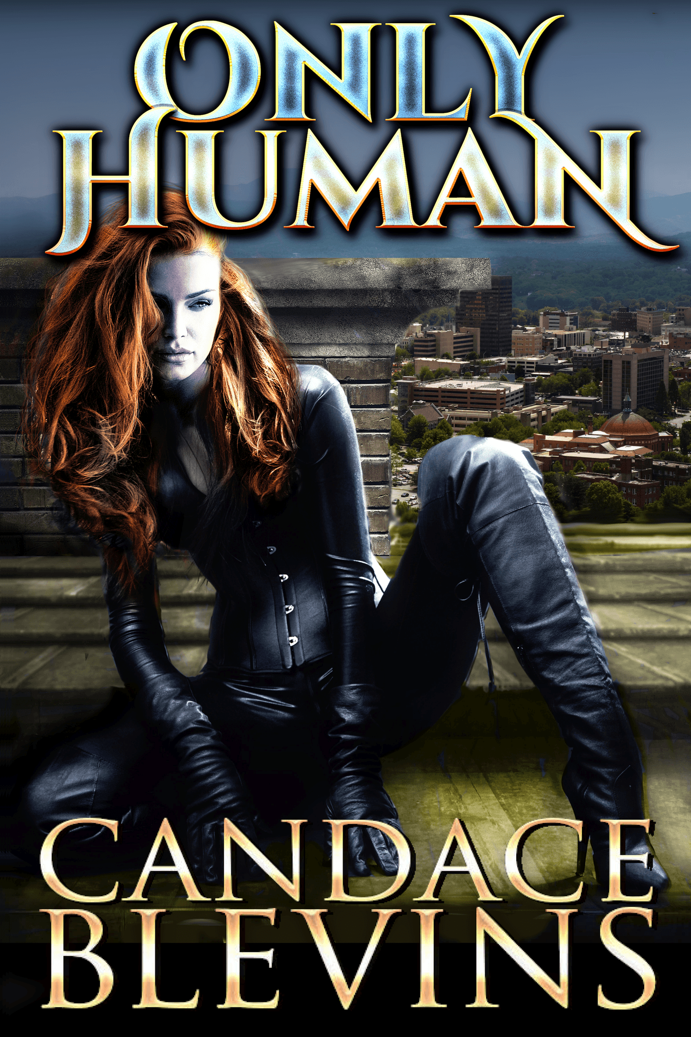 Series Book Cover Preview