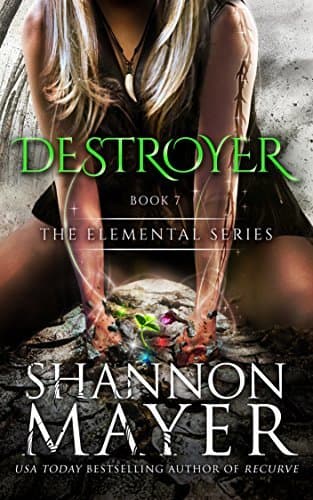Destroyer book cover