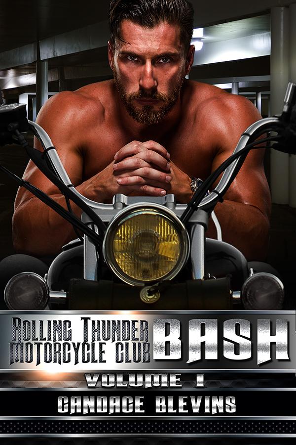 Bash: Volume I book cover