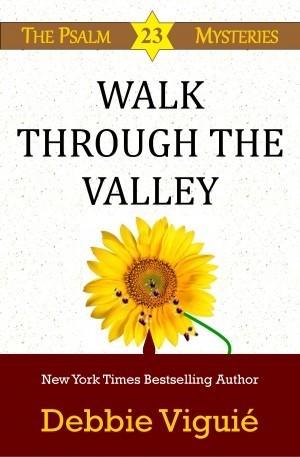 Walk Through the Valley book cover