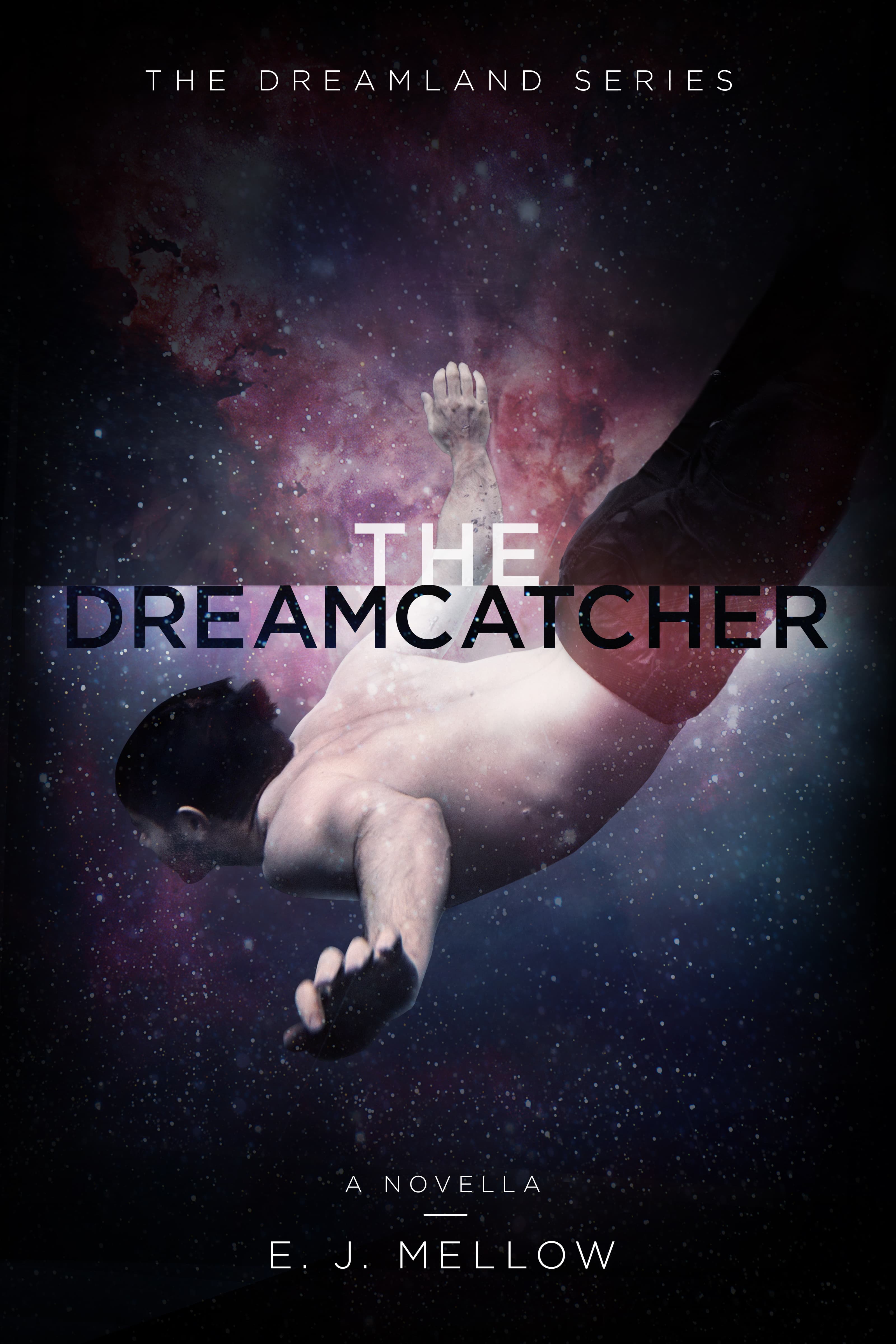 The Dreamcatcher book cover