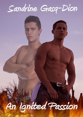 An Ignited Passion book cover