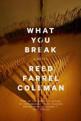 What You Break book cover