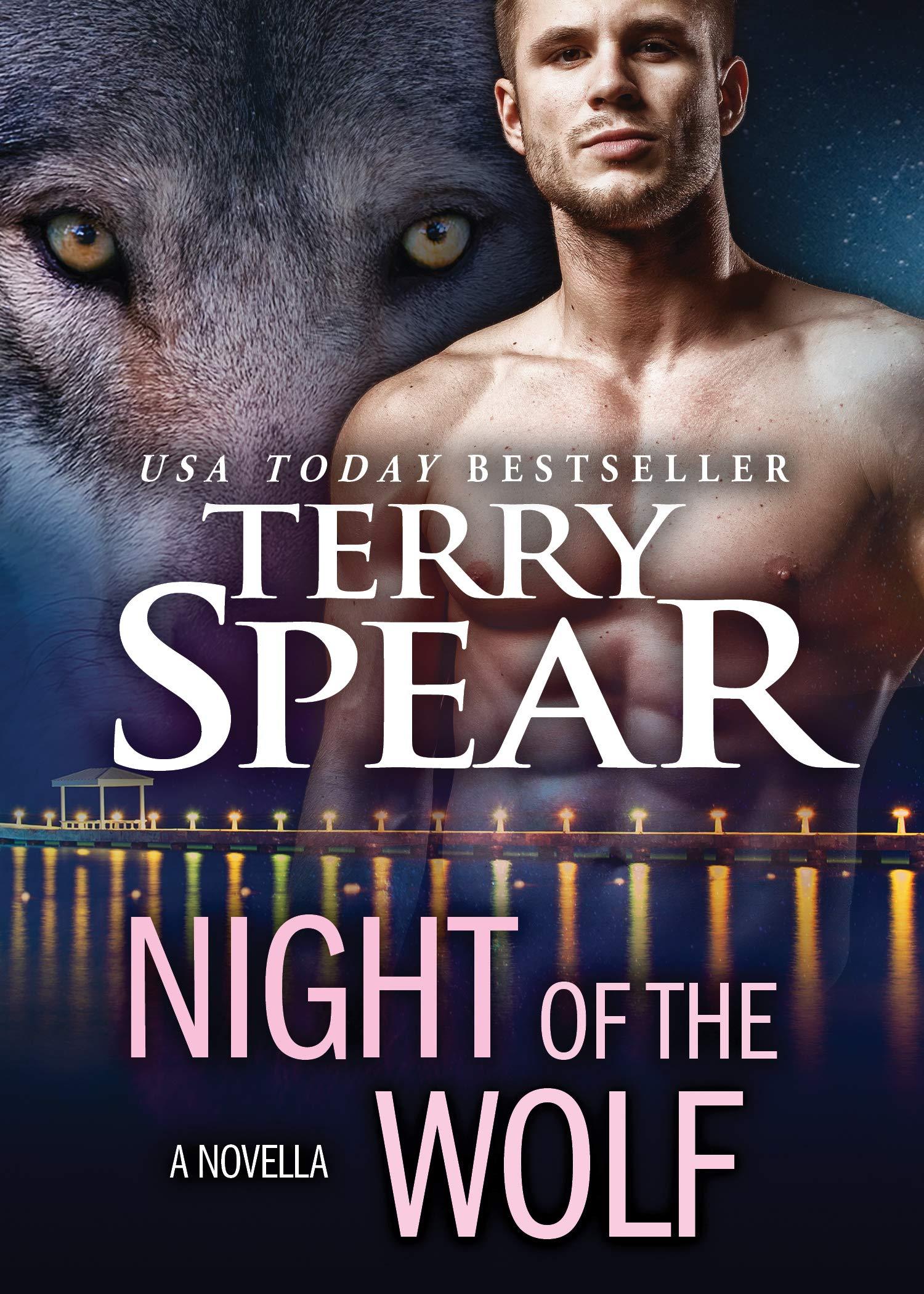 Night of the Wolf book cover