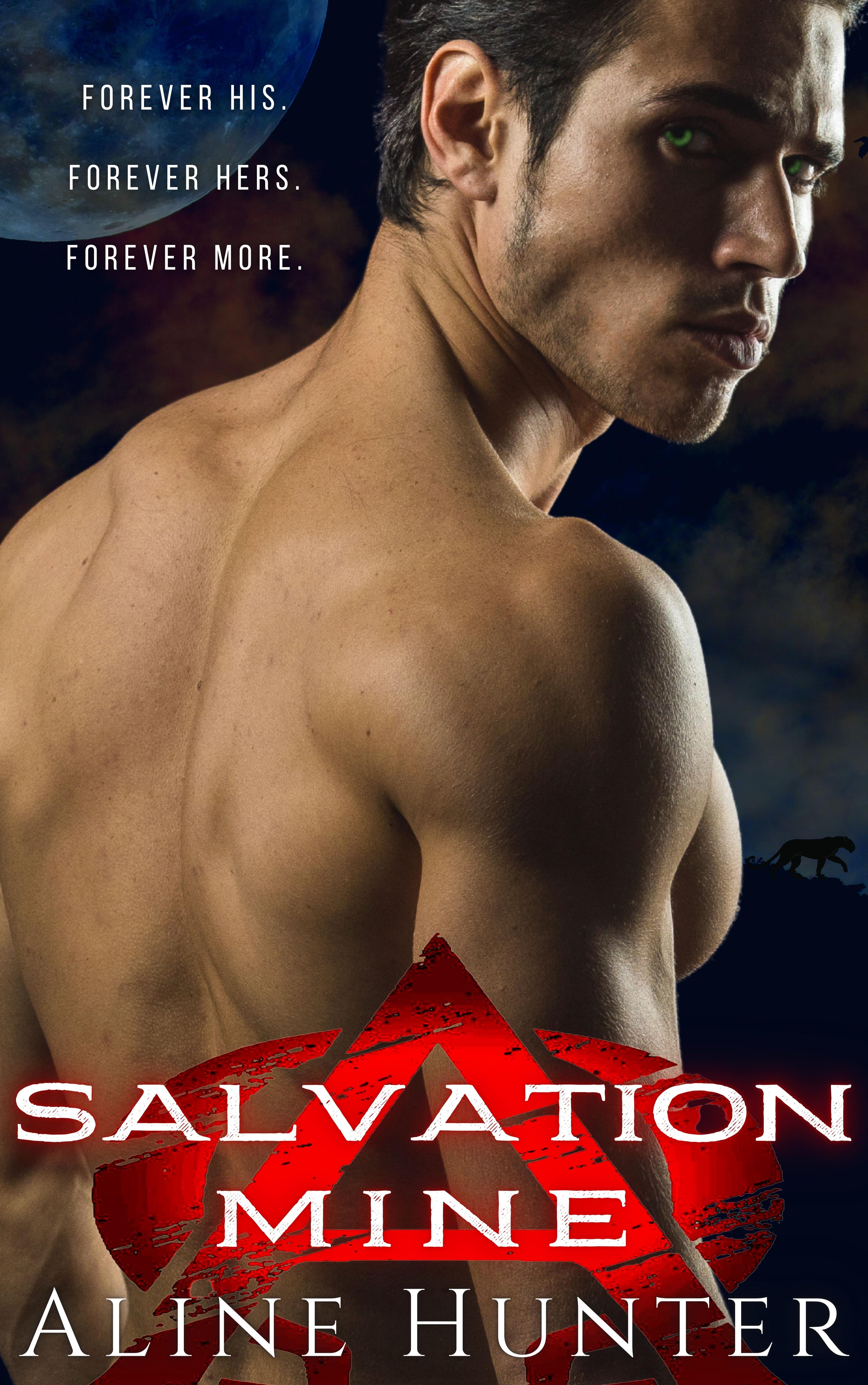 Salvation Mine book cover