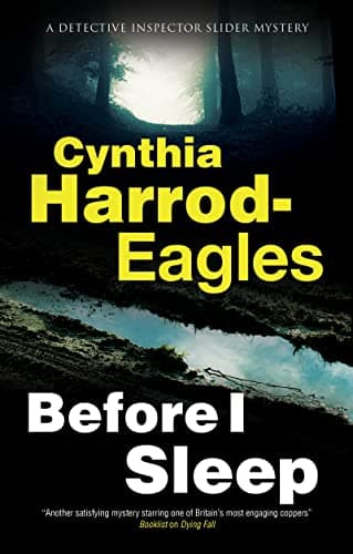 Before I Sleep book cover