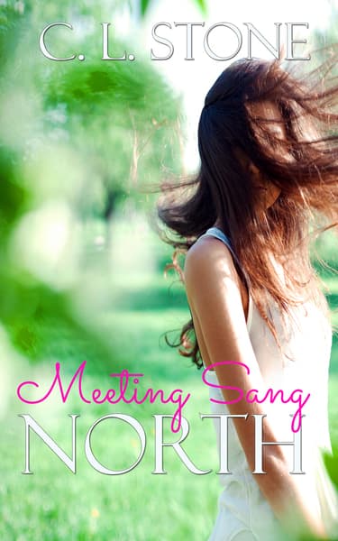 Meeting Sang: North book cover