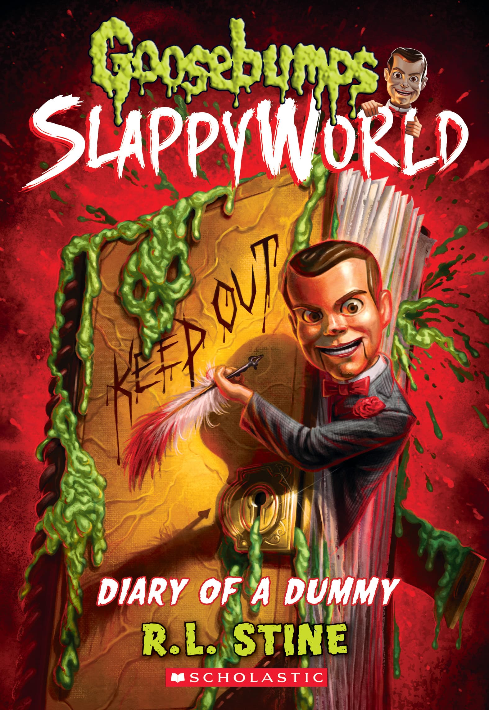 Diary of a Dummy book cover
