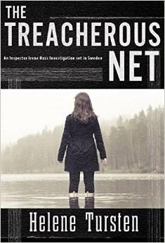 The Treacherous Net book cover