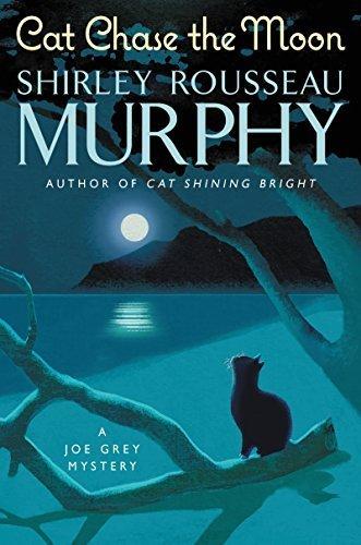 Cat Chase the Moon book cover