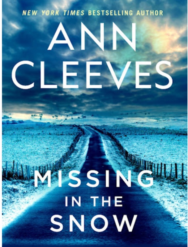 Missing in the Snow book cover