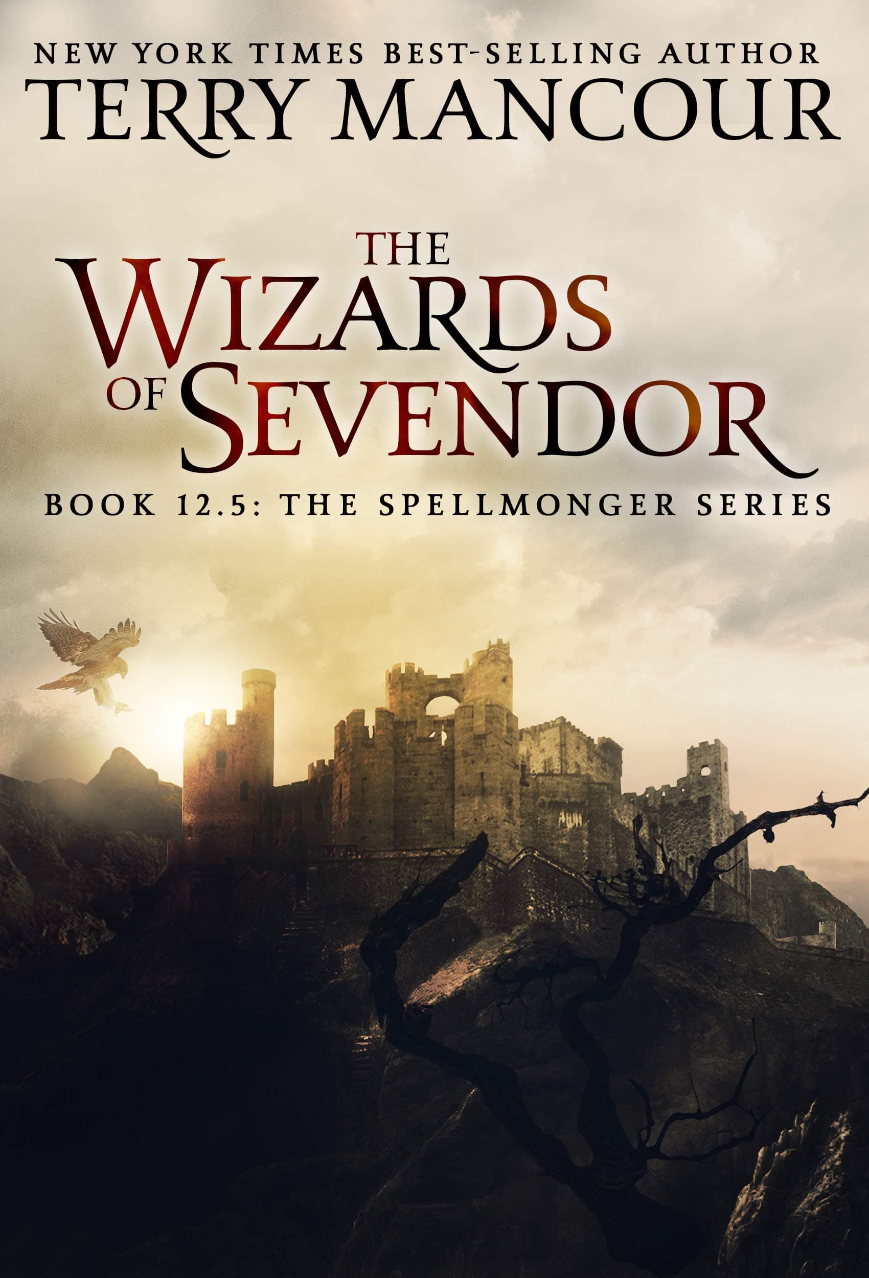 The Wizards of Sevendor