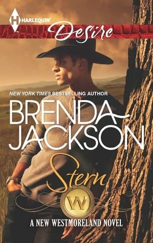 Stern book cover