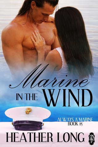 Marine in the Wind book cover