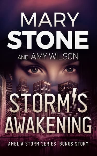 Storm's Awakening book cover