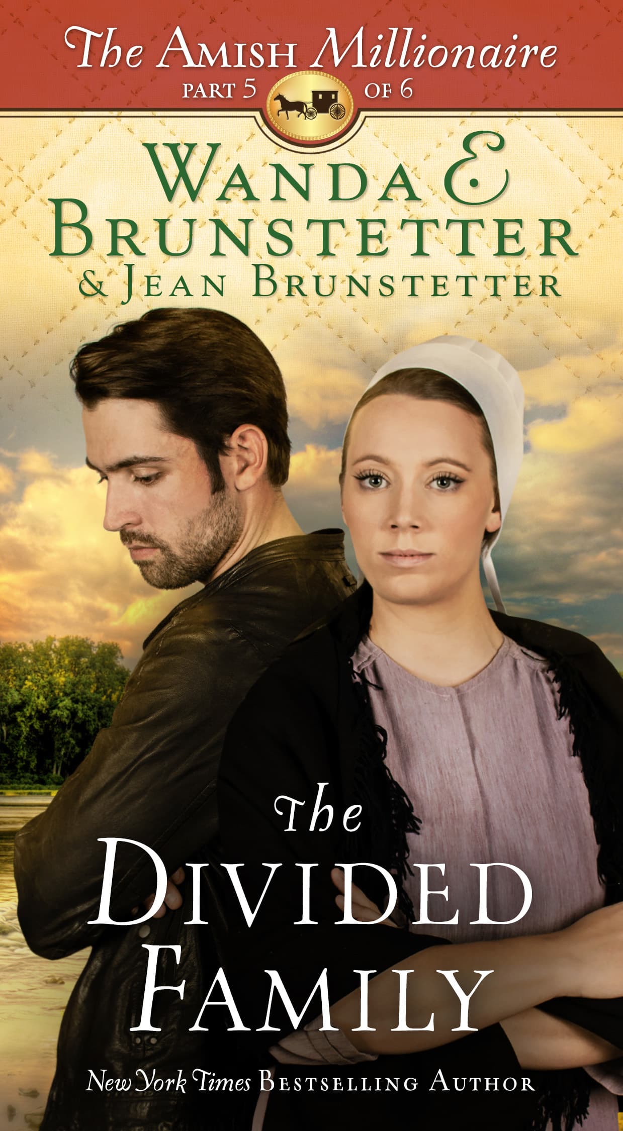 The Divided Family book cover