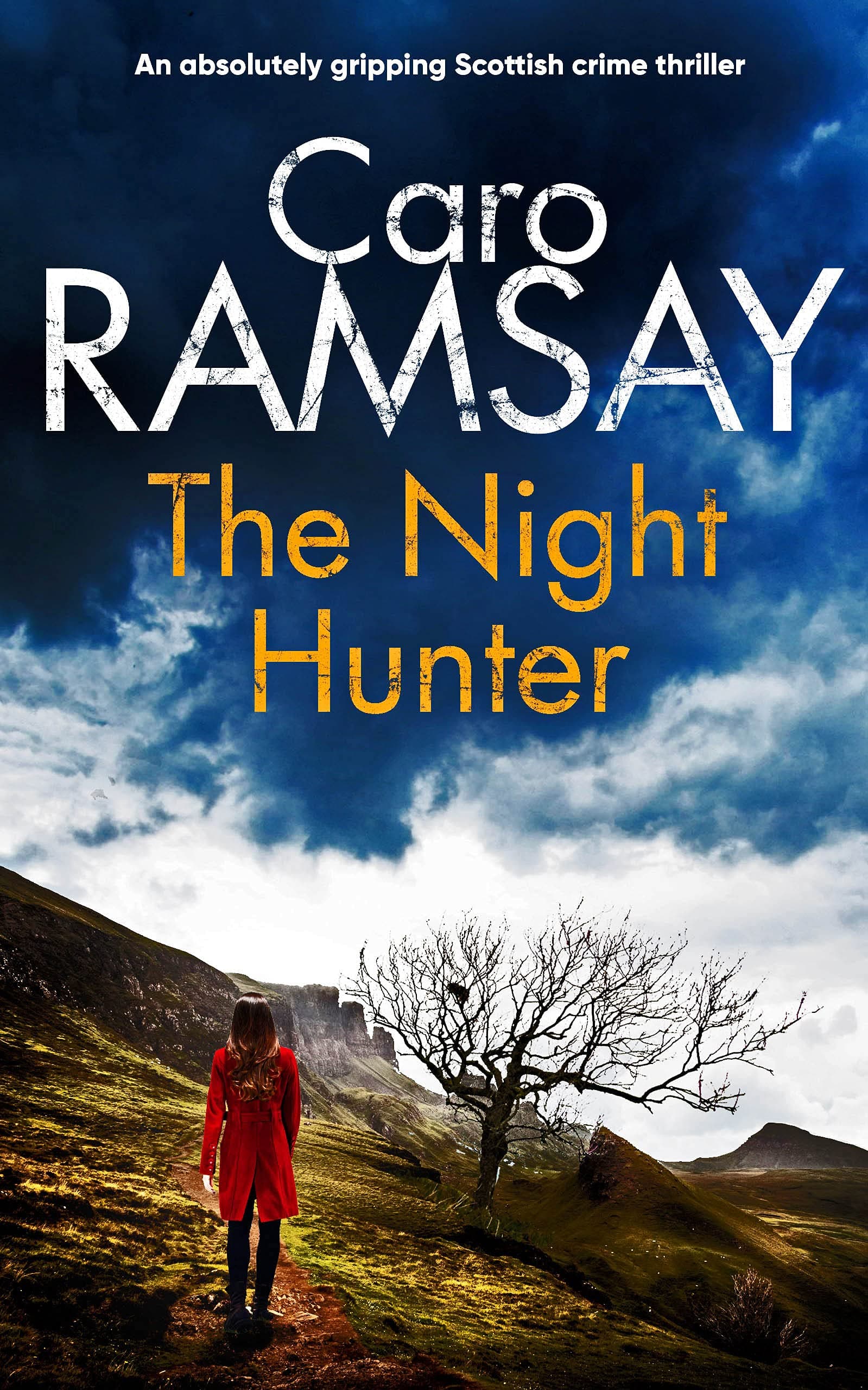 The Night Hunter book cover
