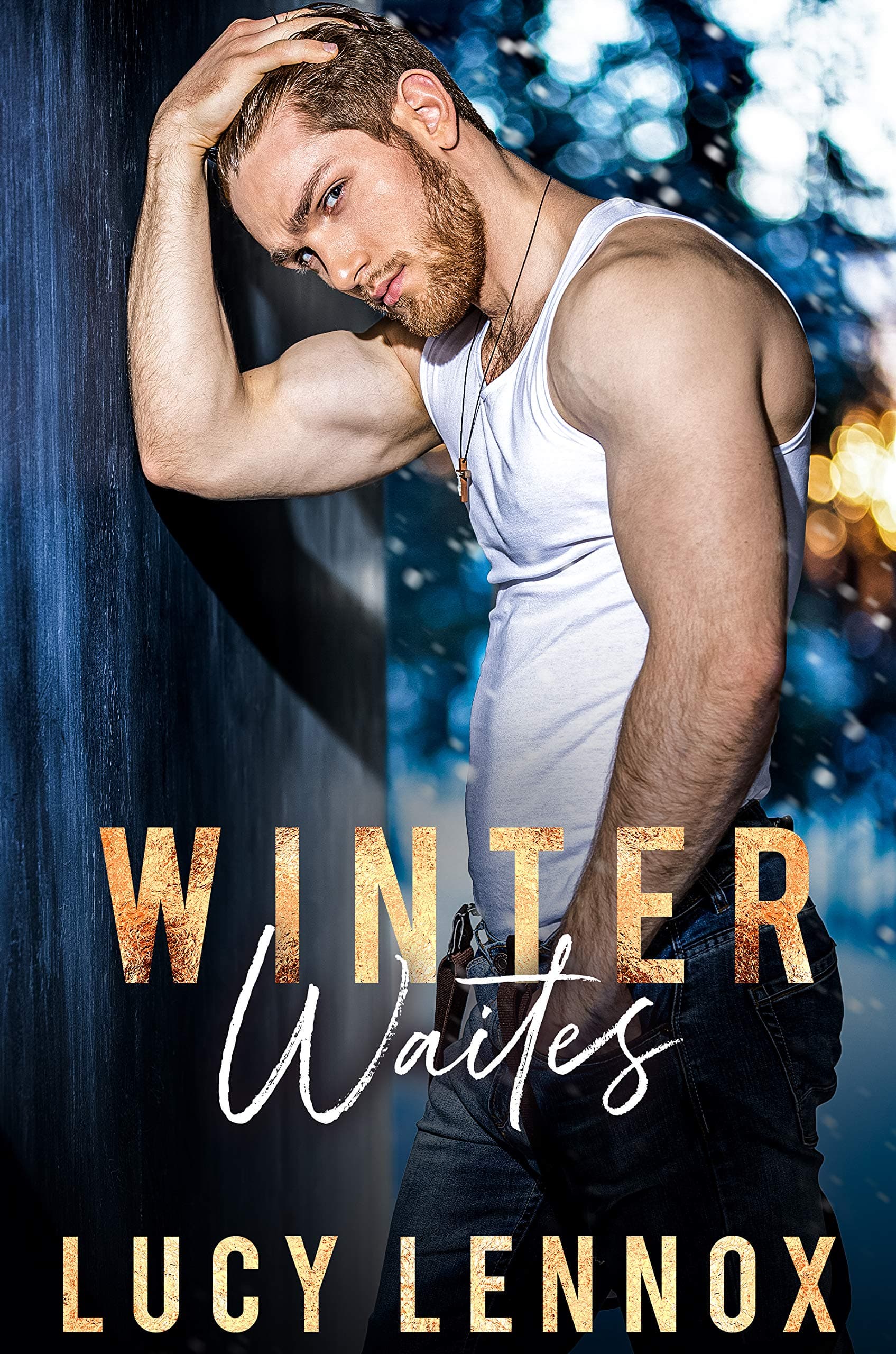 Winter Waites book cover