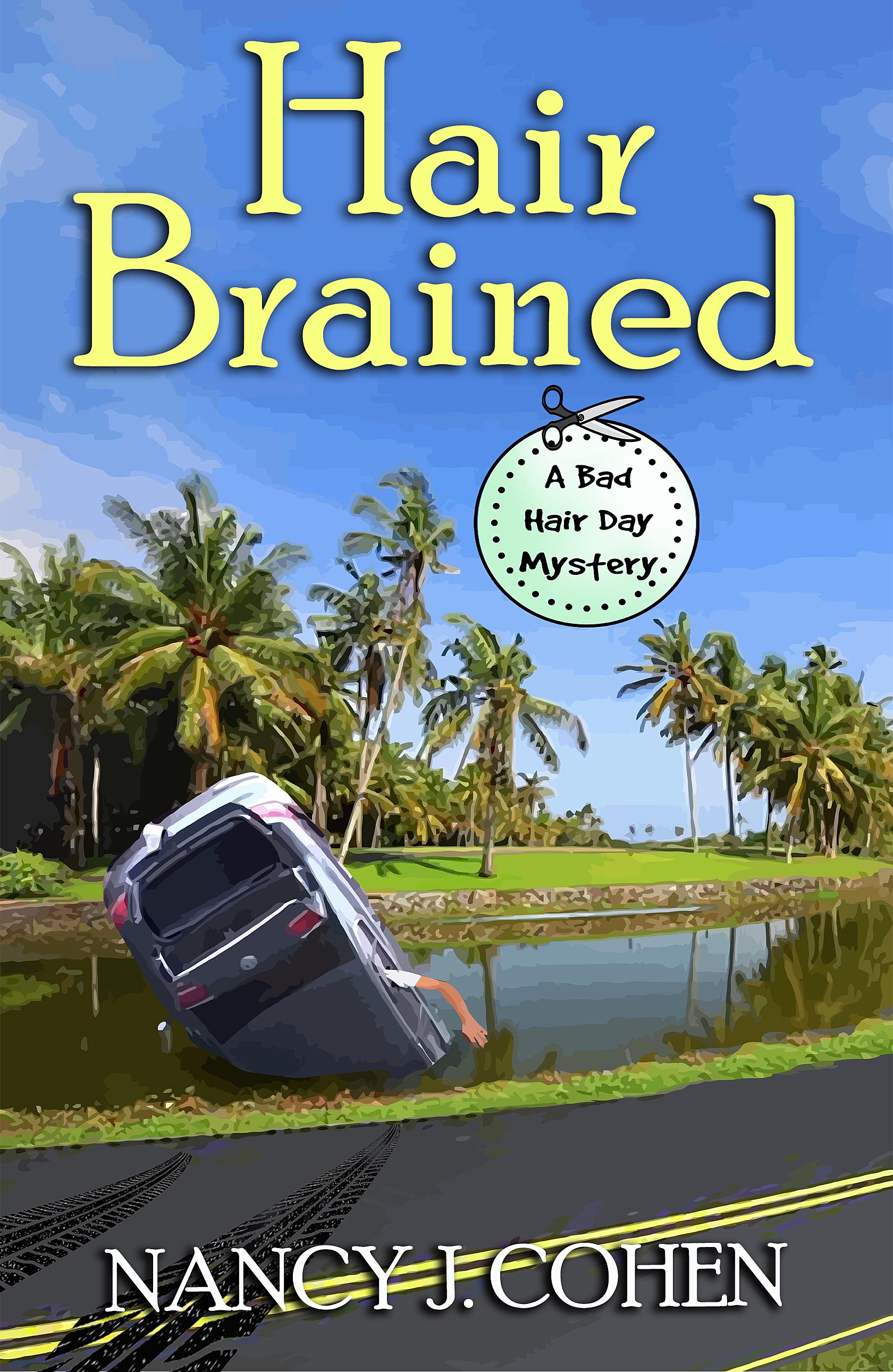 Hair Brained book cover