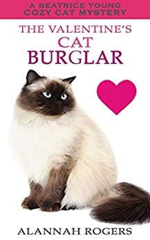 The Valentine's Cat Burglar