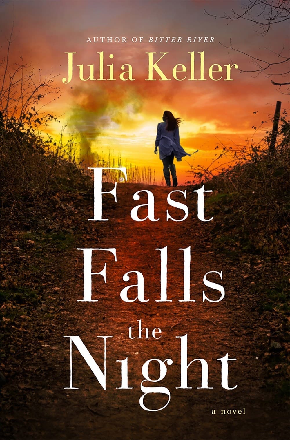 Fast Falls the Night book cover