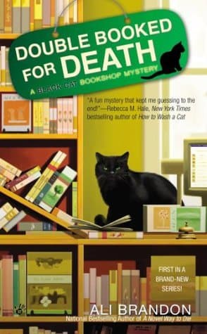 Series Book Cover Preview
