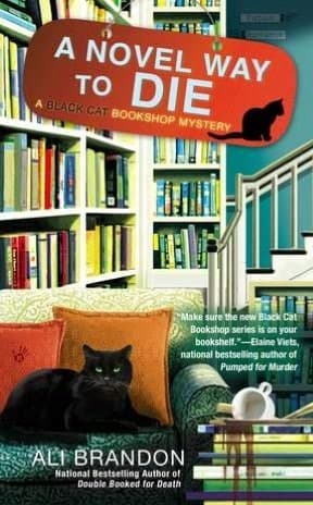 Series Book Cover Preview