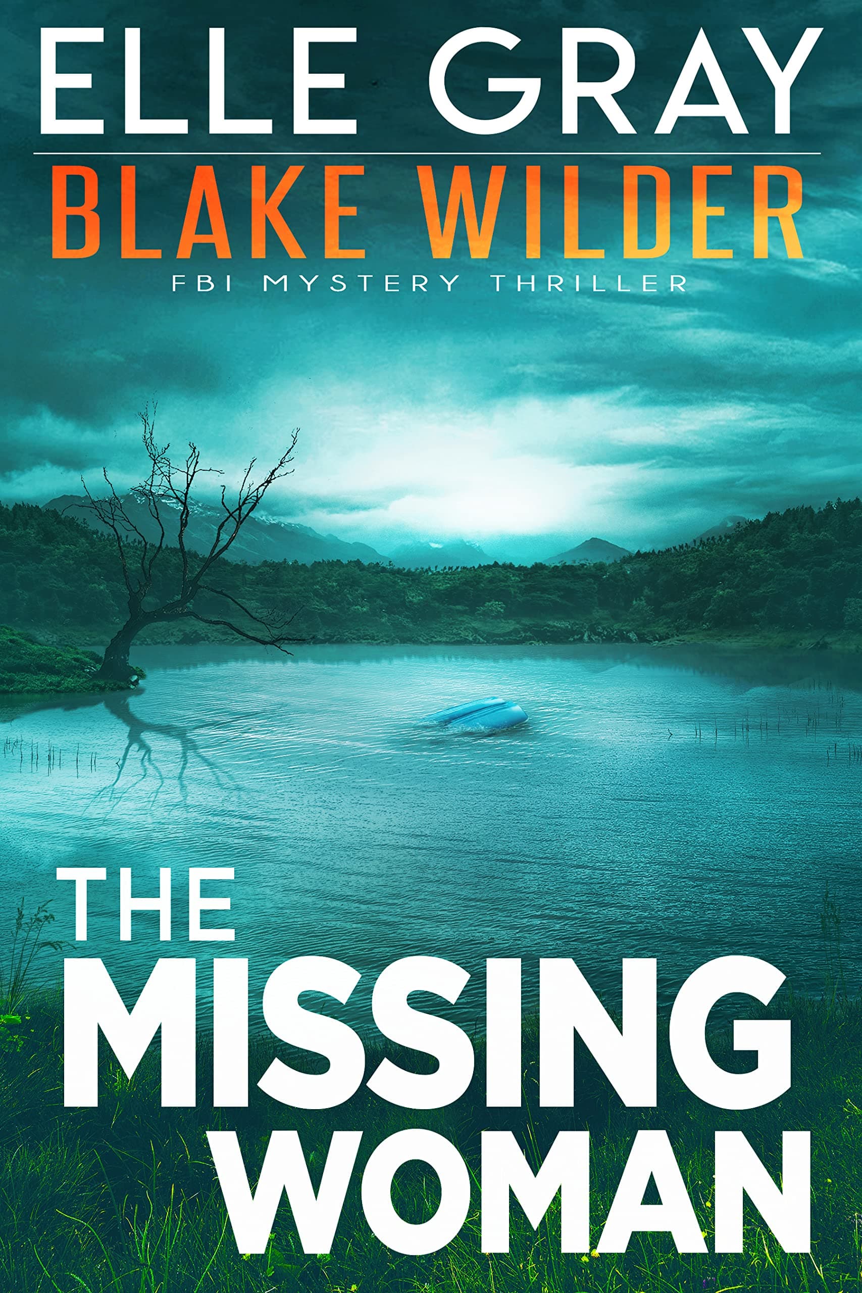 The Missing Woman book cover