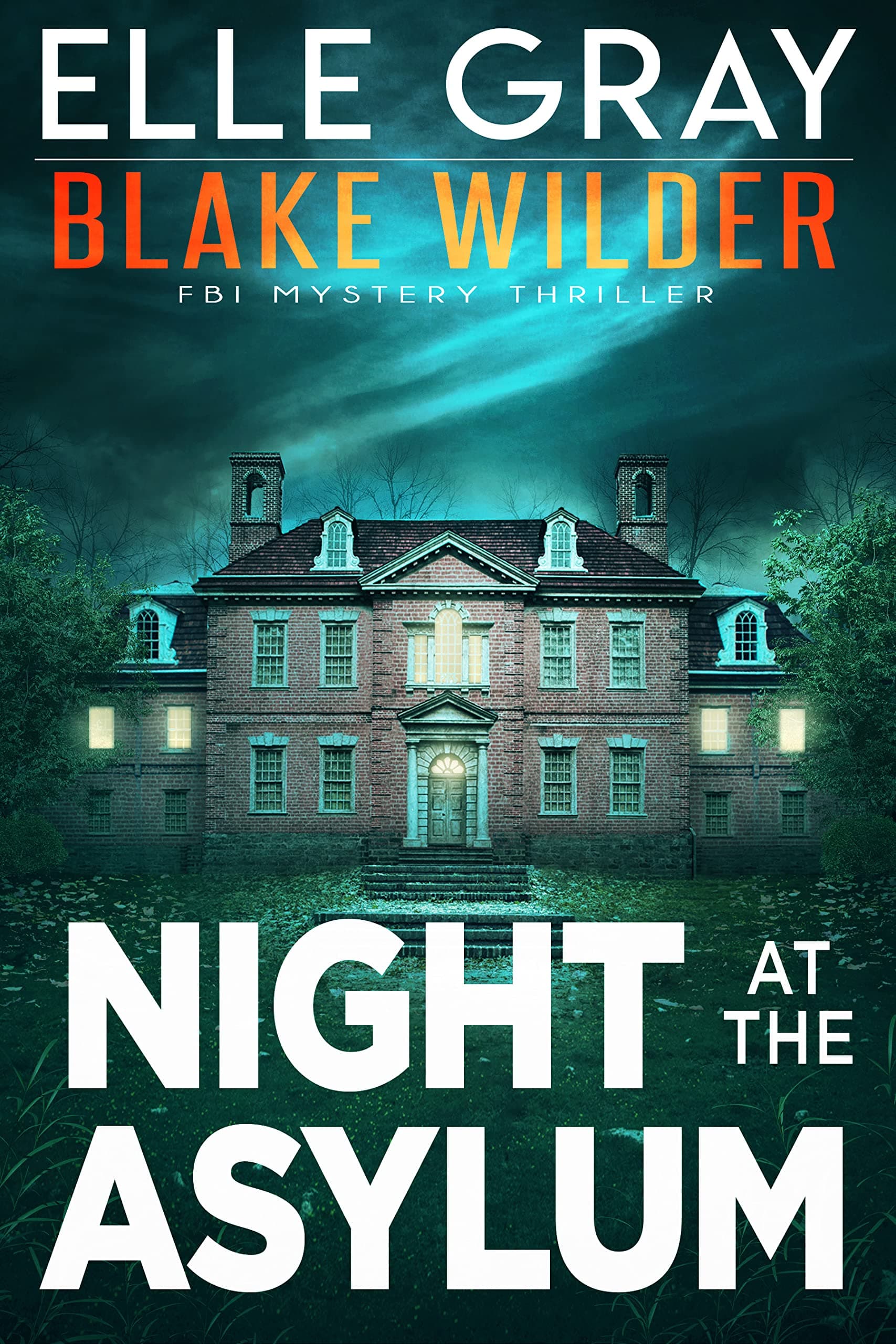 Night at the Asylum book cover