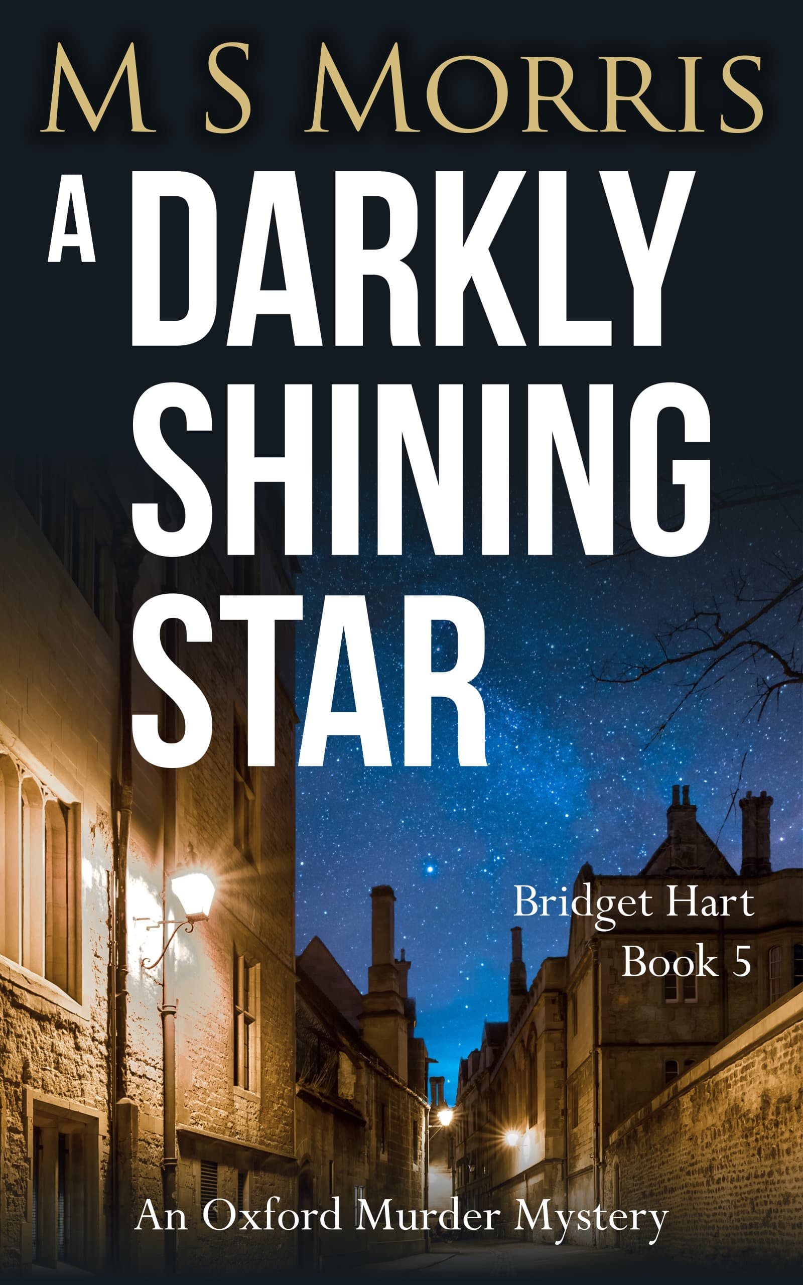 A Darkly Shining Star book cover