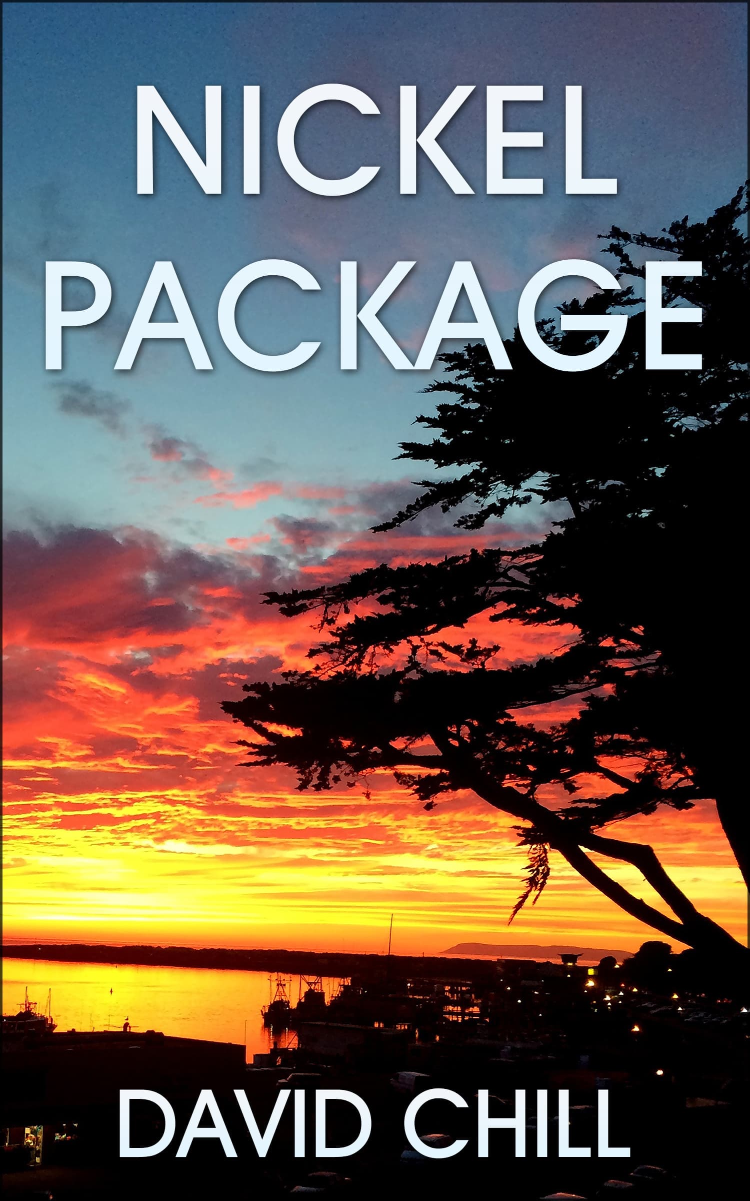 Nickel Package book cover