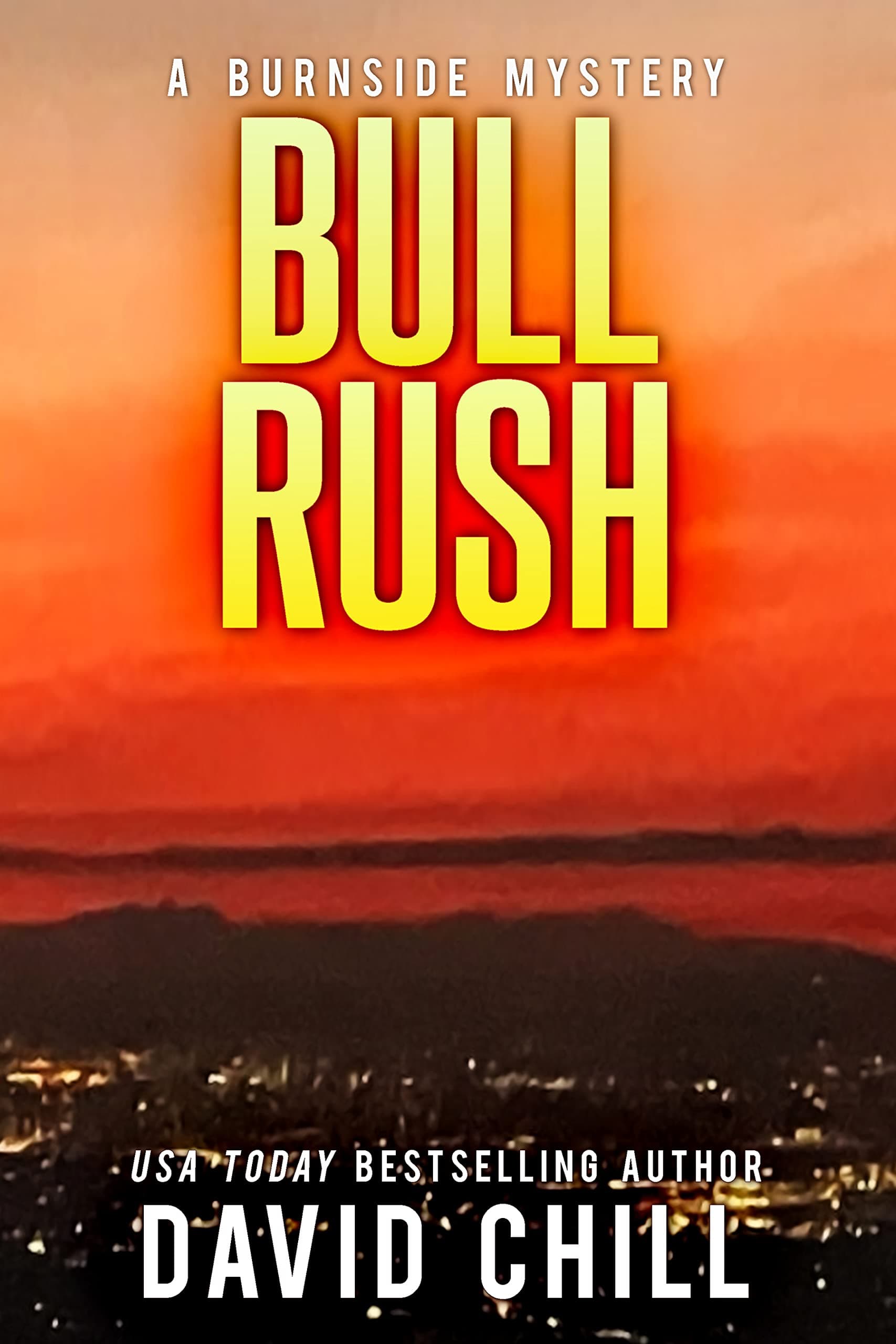 Bull Rush book cover