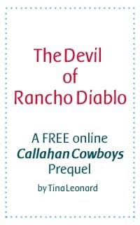 The Devil of Rancho Diablo book cover