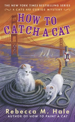 How to Catch a Cat book cover