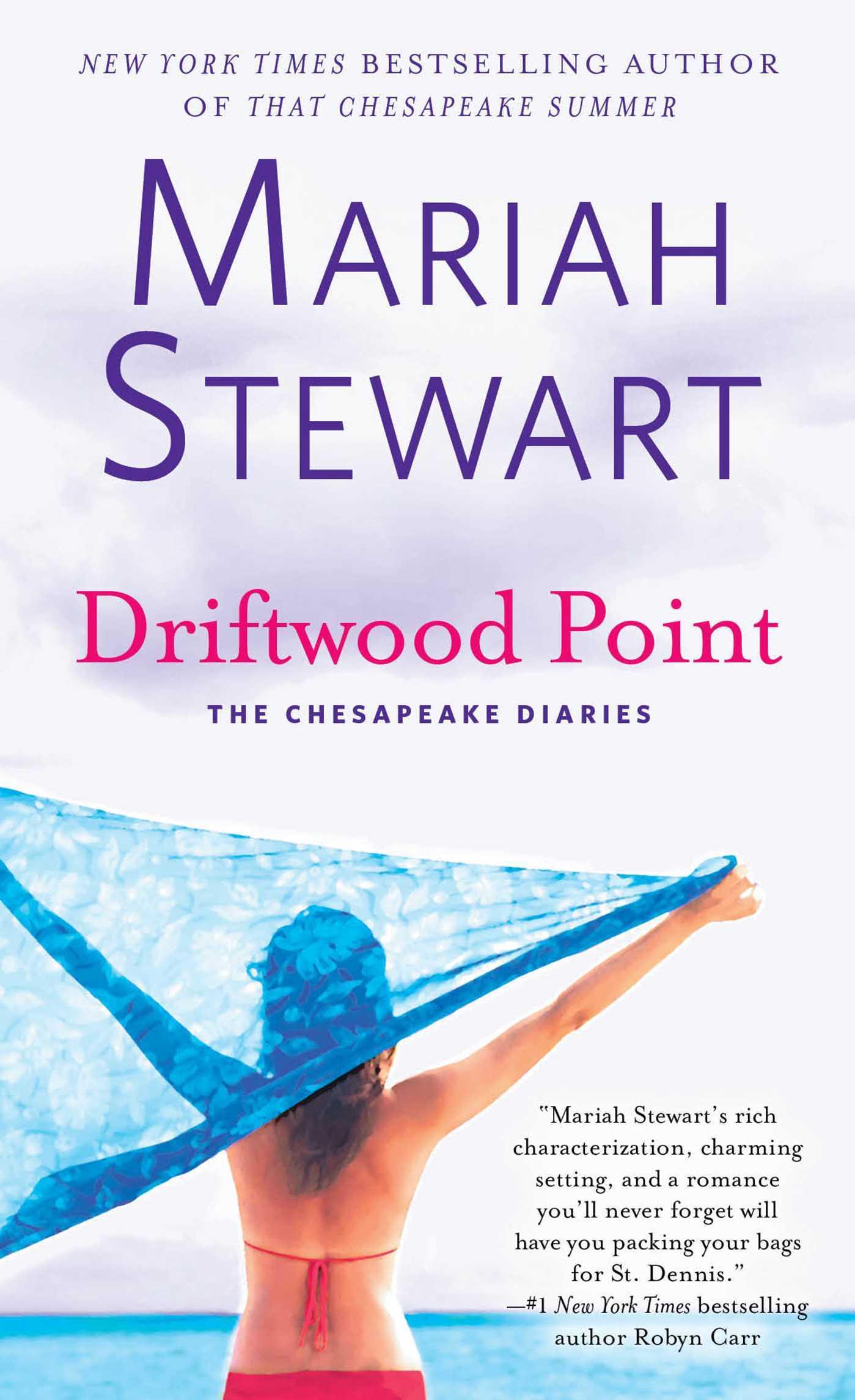 Driftwood Point book cover